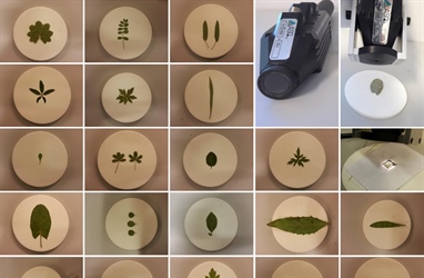 New method: Chemical traits of single leaves using near‐infrared reflectance spectroscopy (NIRS)
