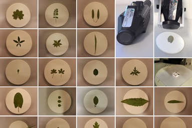 New method: Chemical traits of single leaves using near‐infrared reflectance spectroscopy (NIRS)