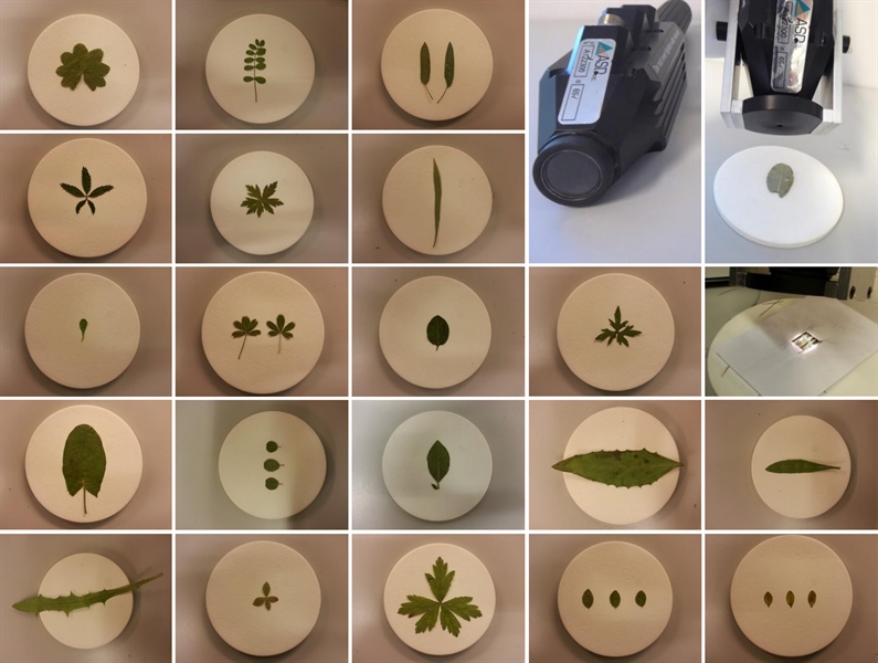 New method: Chemical traits of single leaves using near‐infrared reflectance spectroscopy (NIRS)