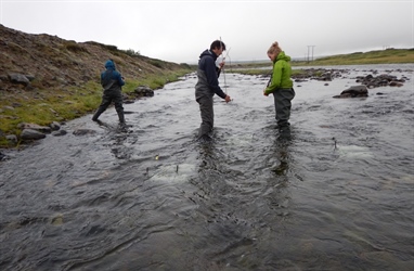 COAT has started a new experiment in the lower parts of Komag River