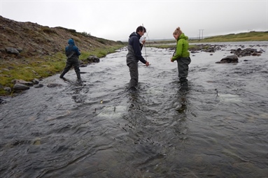 COAT has started a new experiment in the lower parts of Komag River