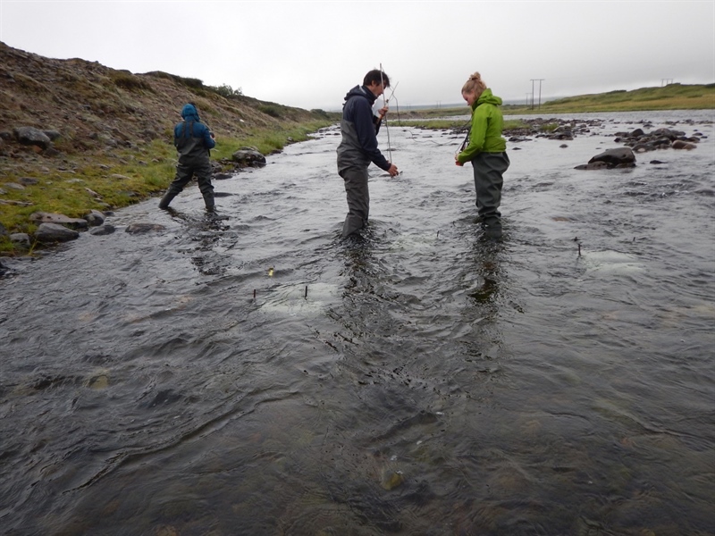 COAT has started a new experiment in the lower parts of Komag River