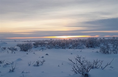 Snow measurements in Varanger