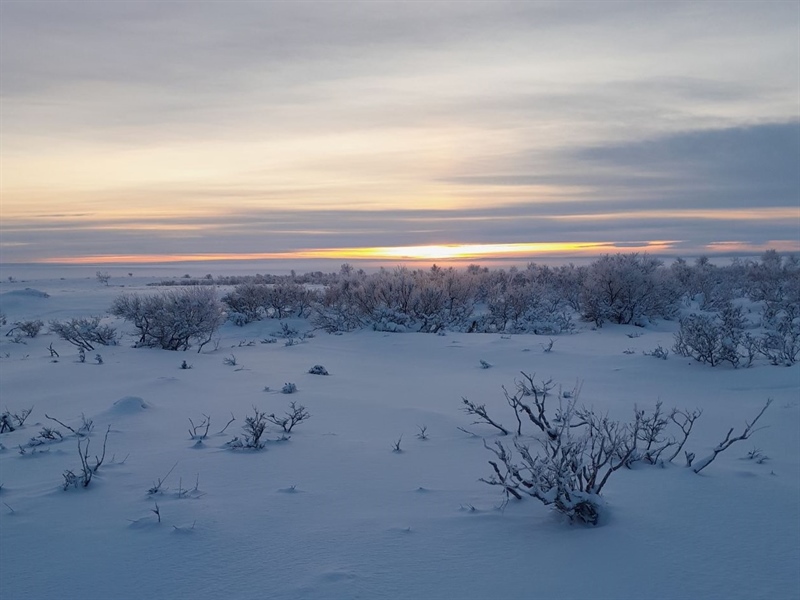 Snow measurements in Varanger