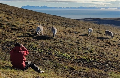 Hva skjer under COAT Svalbard sitt sommerfeltarbeid 2023?