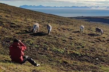 Hva skjer under COAT Svalbard sitt sommerfeltarbeid 2023?