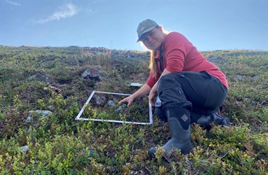 Høstfelt på Varangerhavløya – Et fotoreisebrev