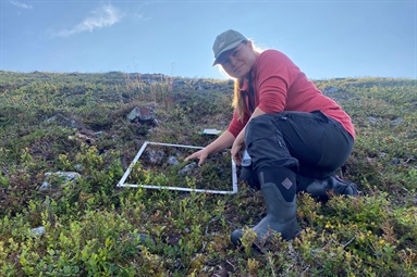 Høstfelt på Varangerhavløya – Et fotoreisebrev