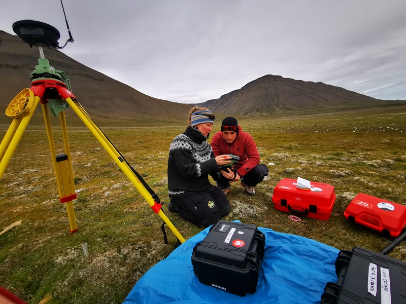 What is the relationship between remote-sensed imagery of tundra vegetation and field-based vascular plant biomass and goose disturbance?