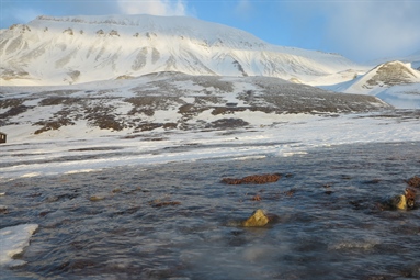 Remotely measured greenness is lower in higher-altitude areas of the Svalbard tundra where ground ice has formed