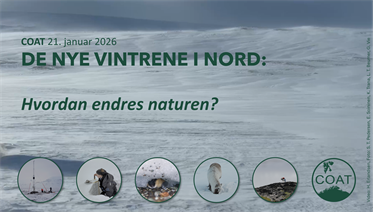 Vi er viktig for sikkerheten i nord – en hilsen fra forsknings- og høyere utdanningsminister Sigrun Aasland