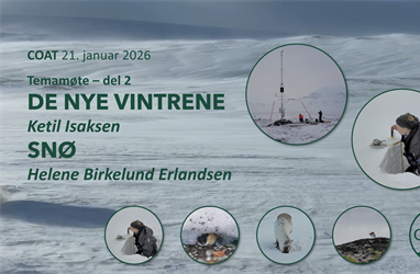 Arktis og spesielt Svalbard regionen varmes opp raskest i verden og modellering av regn på snø og isdannelse (COAT Temamøte - del 2)