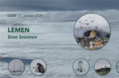 Nytt vinterklima gir ringvirkninger i økosystemene