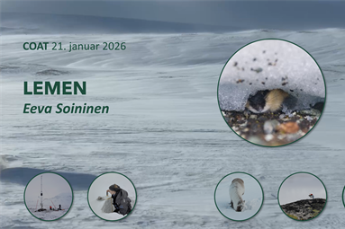 Nytt vinterklima gir ringvirkninger i økosystemene