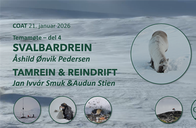 De nye vintrene er vanskelige for reinsdyr, mens somrene har blitt bedre