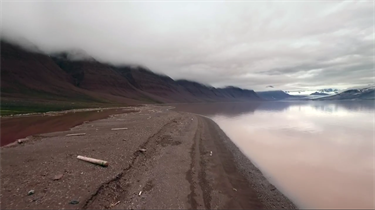 Surveying Arctic hotspots of biodiversity