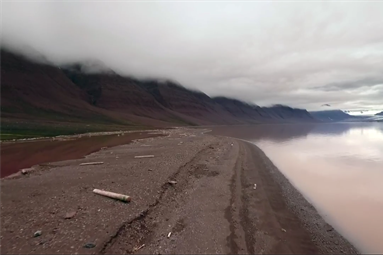 Surveying Arctic hotspots of biodiversity