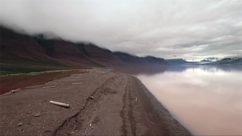 Surveying Arctic hotspots of biodiversity