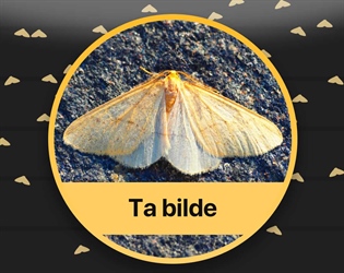 Målerjakten 2018 er igang!