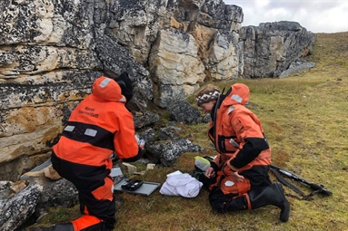 COAT has established a monitoring system for the invasive Eastern European vole (formerly named the Sibling vole) in Svalbard