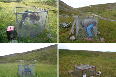 Vegetation fieldwork Varanger 2020