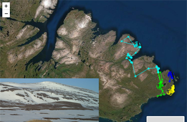 Følg våre rødrever i Øst-Finnmark!