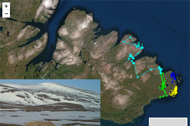 Følg våre rødrever i Øst-Finnmark!